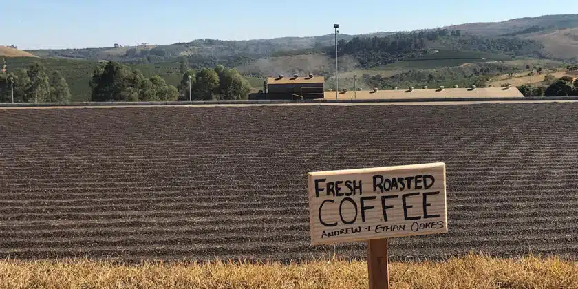 Leon Media Network Expands Partnership with Fresh Roasted Coffee