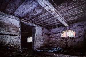 Found Footage, Found Audience: The Guerrilla Marketing Genius of The Blair Witch Project